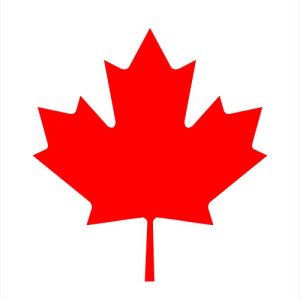 Canada Visa Services - Basic Canada Tourist Visa Agency Fees - Application plus Appointment (Queuing System)